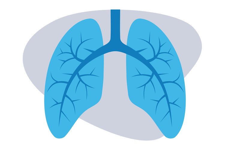 lungs-research-landing-illustration